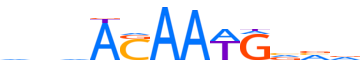 SOX2.H12INVITRO.0.P.B reverse-complement motif logo (SOX2 gene, SOX2_HUMAN protein)