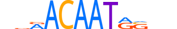 SOX3.H12INVITRO.0.PM.A reverse-complement motif logo (SOX3 gene, SOX3_HUMAN protein)