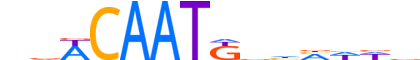 SOX3.H12INVITRO.1.S.C reverse-complement motif logo (SOX3 gene, SOX3_HUMAN protein)