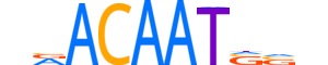 SOX30.H12INVITRO.1.SM.B reverse-complement motif logo (SOX30 gene, SOX30_HUMAN protein)