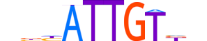 SOX9.H12INVITRO.1.PS.A motif logo (SOX9 gene, SOX9_HUMAN protein)