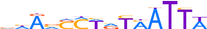 SP7.H12INVITRO.0.P.D reverse-complement motif logo (SP7 gene, SP7_HUMAN protein)