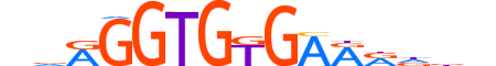 TBX1.H12INVITRO.0.S.B motif logo (TBX1 gene, TBX1_HUMAN protein)