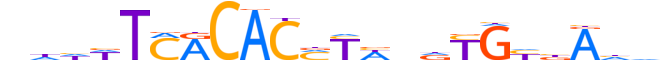 TBX19.H12INVITRO.0.PS.A reverse-complement motif logo (TBX19 gene, TBX19_HUMAN protein)