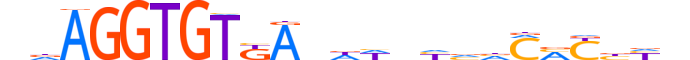 TBX4.H12INVITRO.1.S.B motif logo (TBX4 gene, TBX4_HUMAN protein)