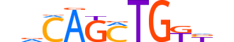 TCF21.H12INVITRO.0.PS.A motif logo (TCF21 gene, TCF21_HUMAN protein)