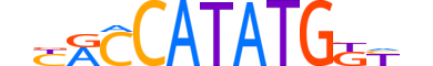 TCF21.H12INVITRO.1.SM.B motif logo (TCF21 gene, TCF21_HUMAN protein)