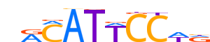 TEAD1.H12INVITRO.0.PSM.A motif logo (TEAD1 gene, TEAD1_HUMAN protein)