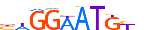 TEAD1.H12INVITRO.0.PSM.A reverse-complement motif logo (TEAD1 gene, TEAD1_HUMAN protein)