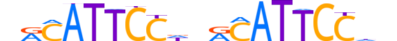 TEAD1.H12INVITRO.2.S.C motif logo (TEAD1 gene, TEAD1_HUMAN protein)