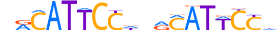 TEAD3.H12INVITRO.1.S.B motif logo (TEAD3 gene, TEAD3_HUMAN protein)