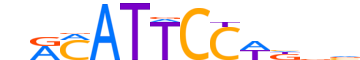TEAD4.H12INVITRO.0.PS.A motif logo (TEAD4 gene, TEAD4_HUMAN protein)