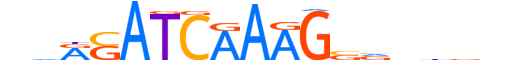 TF7L1.H12INVITRO.0.PM.A reverse-complement motif logo (TCF7L1 gene, TF7L1_HUMAN protein)