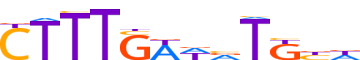 TF7L1.H12INVITRO.1.P.C motif logo (TCF7L1 gene, TF7L1_HUMAN protein)