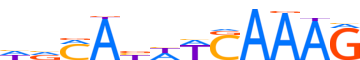 TF7L1.H12INVITRO.1.P.C reverse-complement motif logo (TCF7L1 gene, TF7L1_HUMAN protein)
