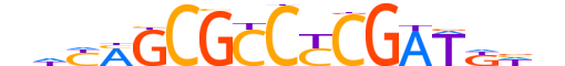 TF7L1.H12INVITRO.2.S.C motif logo (TCF7L1 gene, TF7L1_HUMAN protein)