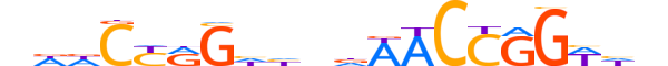 TFCP2.H12INVITRO.1.SM.B motif logo (TFCP2 gene, TFCP2_HUMAN protein)
