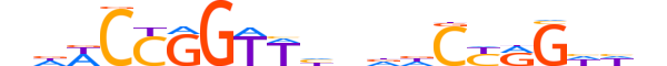 TFCP2.H12INVITRO.1.SM.B reverse-complement motif logo (TFCP2 gene, TFCP2_HUMAN protein)