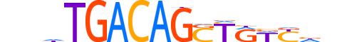 TGIF2.H12INVITRO.0.S.B motif logo (TGIF2 gene, TGIF2_HUMAN protein)