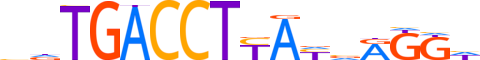 THA.H12INVITRO.2.S.B reverse-complement motif logo (THRA gene, THA_HUMAN protein)
