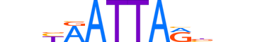 TLX2.H12INVITRO.0.SM.B motif logo (TLX2 gene, TLX2_HUMAN protein)