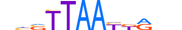 TLX3.H12INVITRO.0.SM.B motif logo (TLX3 gene, TLX3_HUMAN protein)