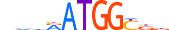 TYY1.H12INVITRO.1.S.B motif logo (YY1 gene, TYY1_HUMAN protein)