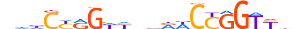 UBIP1.H12INVITRO.0.SM.B reverse-complement motif logo (UBP1 gene, UBIP1_HUMAN protein)