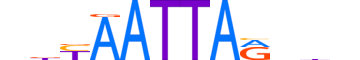 UNC4.H12INVITRO.1.S.B motif logo (UNCX gene, UNC4_HUMAN protein)
