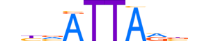 VENTX.H12INVITRO.0.SM.B motif logo (VENTX gene, VENTX_HUMAN protein)