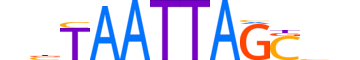 VSX1.H12INVITRO.0.SM.B motif logo (VSX1 gene, VSX1_HUMAN protein)