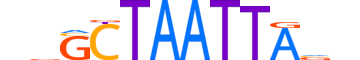 VSX1.H12INVITRO.0.SM.B reverse-complement motif logo (VSX1 gene, VSX1_HUMAN protein)