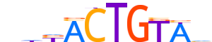 ZBT16.H12INVITRO.0.P.D motif logo (ZBTB16 gene, ZBT16_HUMAN protein)