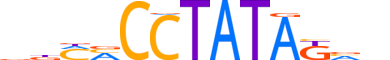 ZBT45.H12INVITRO.0.SM.B motif logo (ZBTB45 gene, ZBT45_HUMAN protein)