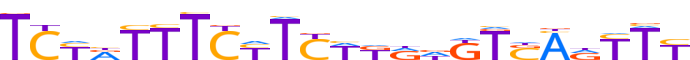 ZFP28.H12INVITRO.0.P.D motif logo (ZFP28 gene, ZFP28_HUMAN protein)