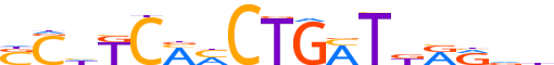 ZN134.H12INVITRO.0.P.D reverse-complement motif logo (ZNF134 gene, ZN134_HUMAN protein)
