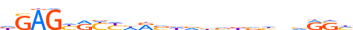 ZN205.H12INVITRO.0.P.D motif logo (ZNF205 gene, ZN205_HUMAN protein)