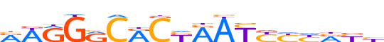 ZN264.H12INVITRO.0.P.D motif logo (ZNF264 gene, ZN264_HUMAN protein)