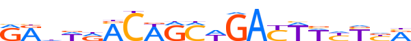 ZN317.H12INVITRO.0.P.D motif logo (ZNF317 gene, ZN317_HUMAN protein)