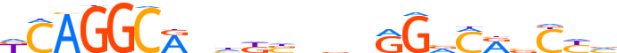 ZN335.H12INVITRO.0.P.D reverse-complement motif logo (ZNF335 gene, ZN335_HUMAN protein)