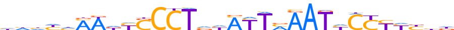 ZN33B.H12INVITRO.0.P.D reverse-complement motif logo (ZNF33B gene, ZN33B_HUMAN protein)