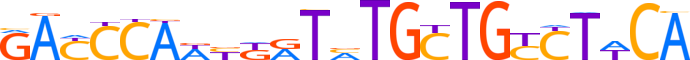 ZN490.H12INVITRO.0.P.D reverse-complement motif logo (ZNF490 gene, ZN490_HUMAN protein)