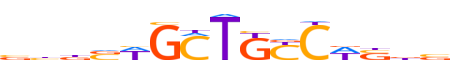 ZN563.H12INVITRO.1.P.D reverse-complement motif logo (ZNF563 gene, ZN563_HUMAN protein)