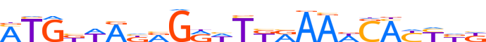 ZN595.H12INVITRO.0.P.D motif logo (ZNF595 gene, ZN595_HUMAN protein)