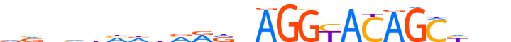 ZN708.H12INVITRO.0.P.D motif logo (ZNF708 gene, ZN708_HUMAN protein)