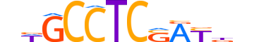 ZN787.H12INVITRO.1.S.C motif logo (ZNF787 gene, ZN787_HUMAN protein)