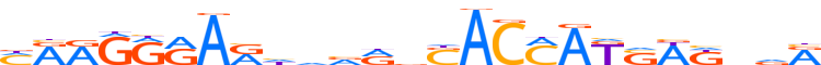 ZNF41.H12INVITRO.0.P.D motif logo (ZNF41 gene, ZNF41_HUMAN protein)