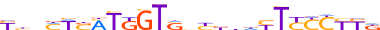 ZNF41.H12INVITRO.0.P.D reverse-complement motif logo (ZNF41 gene, ZNF41_HUMAN protein)