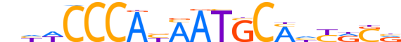 ZNF76.H12INVITRO.1.SM.B reverse-complement motif logo (ZNF76 gene, ZNF76_HUMAN protein)