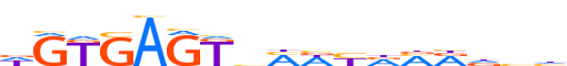 ZSA5C.H12INVITRO.0.P.D motif logo (ZSCAN5C gene, ZSA5C_HUMAN protein)